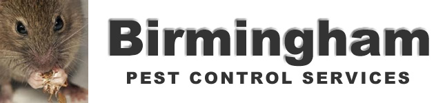 Birmingham Pest Control Services offers professional pest control for residential and commercial customers in Wolverhampton, Birmingham and The West Midlands. Wasp Nest treatment or removal at a fixed price £45.00 no extra, contact us on 01922 610 932 / 0121 450 9784  for more information on our pest control services.