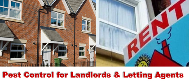 Birmingham Pest Control for Landlords and Lettting Agents Birmingham Pest Control for Landlords and Lettting Agents